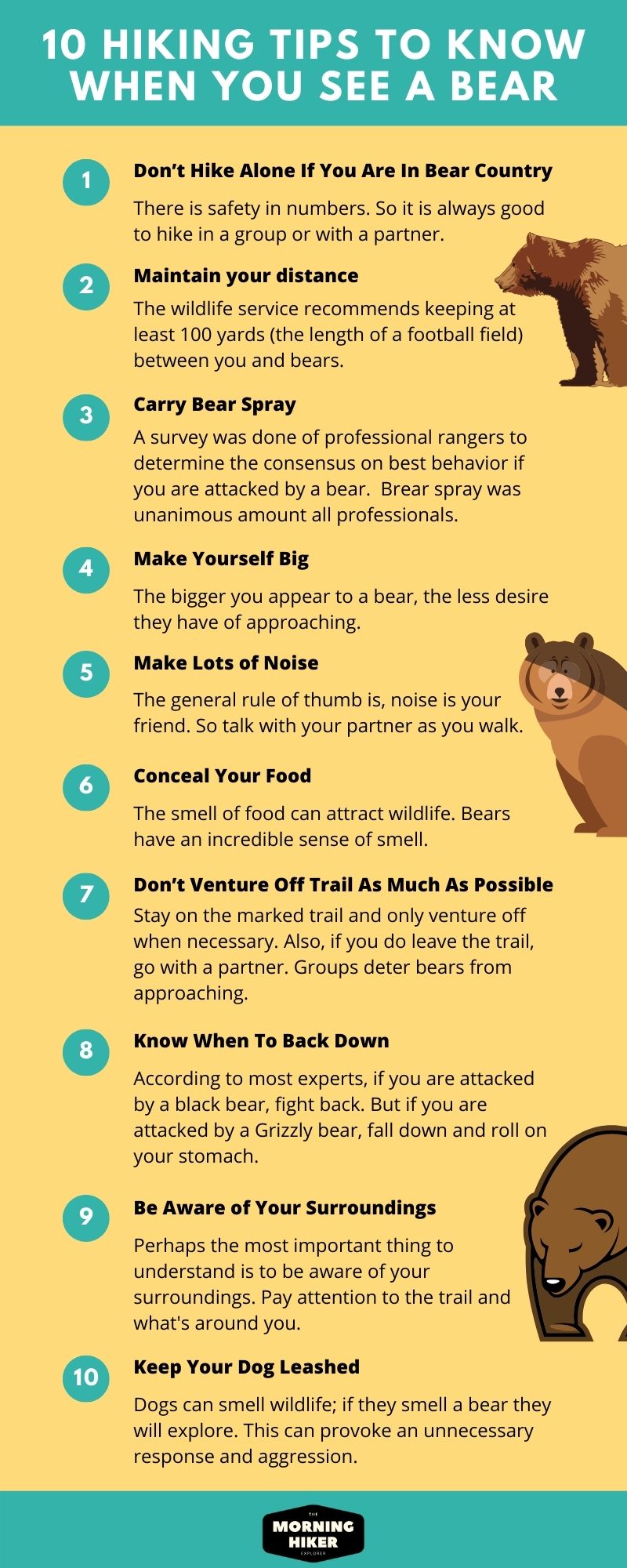 Hiking tips infographic