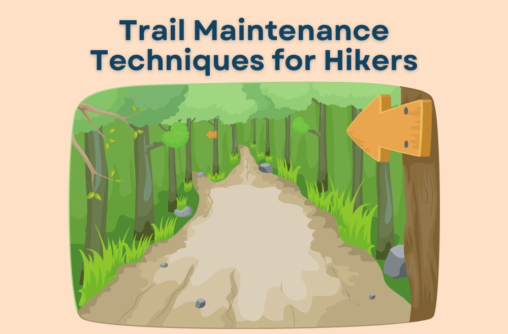 Trail Maintenance Techniques for Hikers